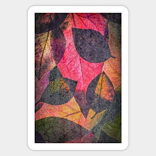 Colourful Abstract Leaf Collage with Texture Sticker